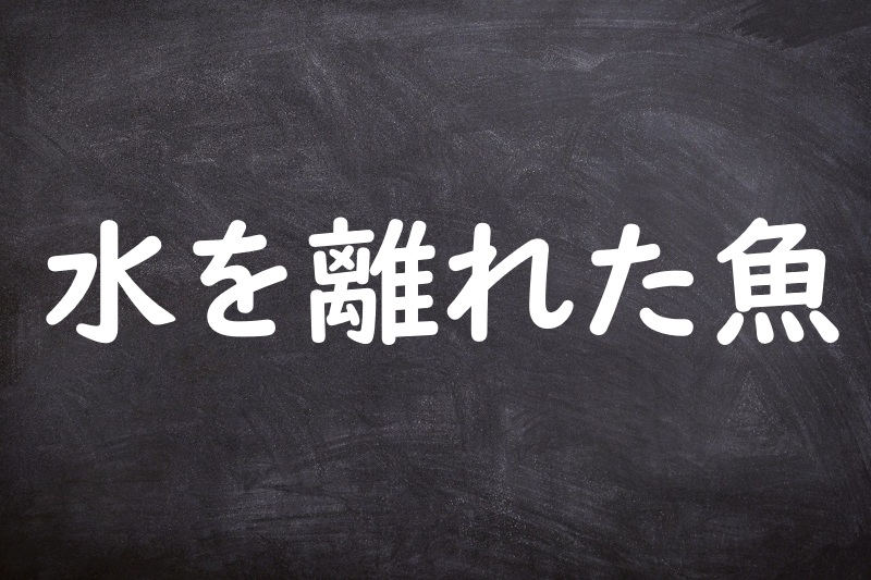 水を離れた魚（みずをはなれたうお）