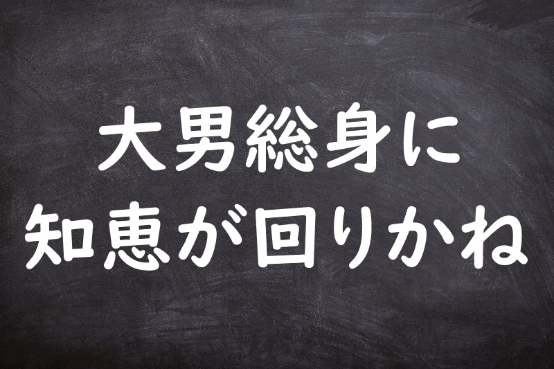 大男総身に知恵が回りかね（おおおとこそうみにちえがまわりかね）