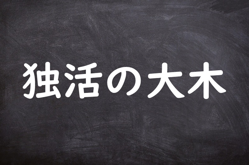 独活の大木（うどのたいぼく）（うどのたいぼく）