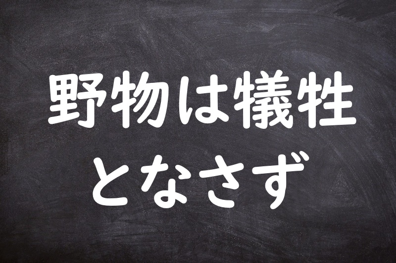 野物は犠牲となさず（やぶつはぎせいとなさず）