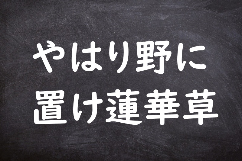 やはり野に置け蓮華草（やはりのにおけれんげそう）
