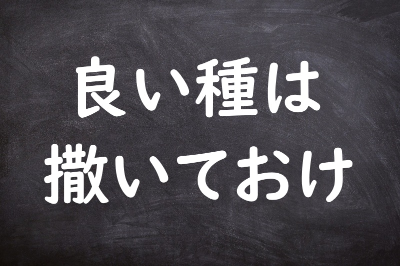 良い種は撒いておけ（よいたねはまいておけ）